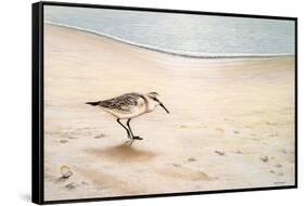 Morning Stroll-Bruce Nawrocke-Framed Stretched Canvas