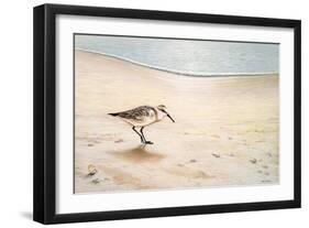 Morning Stroll-Bruce Nawrocke-Framed Premium Giclee Print