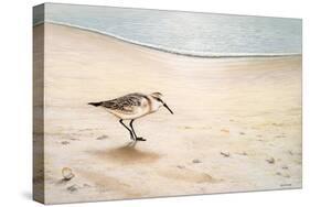 Morning Stroll-Bruce Nawrocke-Stretched Canvas