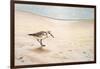 Morning Stroll-Bruce Nawrocke-Framed Art Print