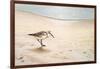 Morning Stroll-Bruce Nawrocke-Framed Art Print