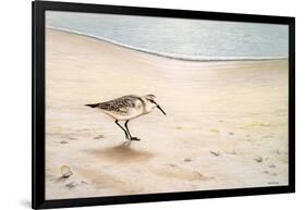 Morning Stroll-Bruce Nawrocke-Framed Art Print