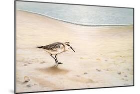 Morning Stroll-Bruce Nawrocke-Mounted Art Print