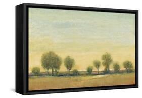 Morning Sun I-Tim OToole-Framed Stretched Canvas