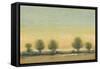 Morning Sun II-Tim OToole-Framed Stretched Canvas