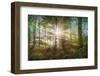 morning sun-Burger Jochen-Framed Photographic Print