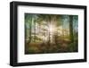 morning sun-Burger Jochen-Framed Photographic Print