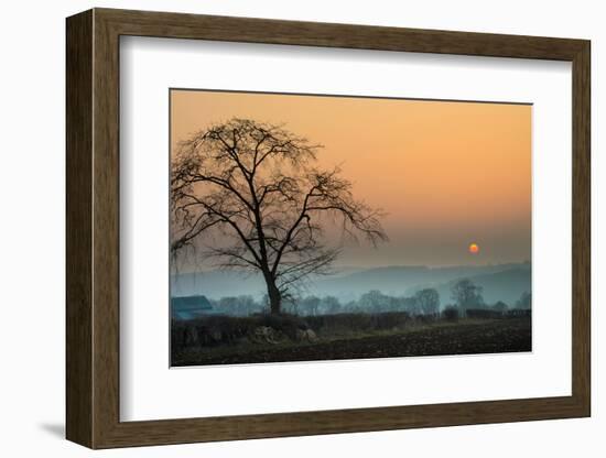 Morning Sun-Adelino Gonçalves-Framed Photographic Print