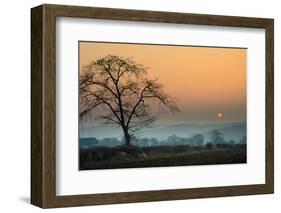 Morning Sun-Adelino Gonçalves-Framed Photographic Print