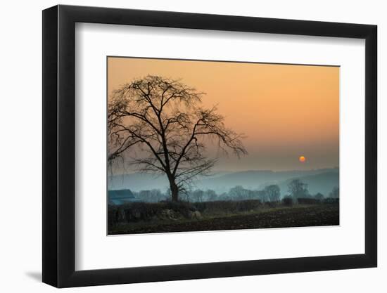 Morning Sun-Adelino Gonçalves-Framed Photographic Print