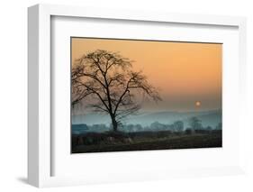 Morning Sun-Adelino Gonçalves-Framed Photographic Print