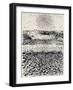 Morning Sun-Anthony Amies-Framed Giclee Print