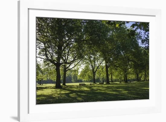 Morning Sunlight, St. James Park, London, England, United Kingdom-James Emmerson-Framed Photographic Print