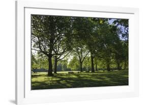 Morning Sunlight, St. James Park, London, England, United Kingdom-James Emmerson-Framed Photographic Print