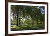 Morning Sunlight, St. James Park, London, England, United Kingdom-James Emmerson-Framed Photographic Print