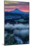 Morning Sunrise Magic at Mount Hood, Jonsrud View, Oregon-Vincent James-Mounted Photographic Print