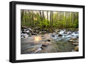 Morning Sunshine II-Danny Head-Framed Art Print