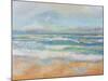 Morning Surf-Jeanette Vertentes-Mounted Art Print