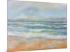 Morning Surf-Jeanette Vertentes-Mounted Art Print