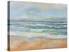 Morning Surf-Jeanette Vertentes-Stretched Canvas