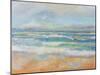 Morning Surf-Jeanette Vertentes-Mounted Art Print