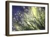 Morning To Remember-Incredi-Framed Giclee Print