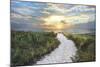 Morning Trail-Celebrate Life Gallery-Mounted Giclee Print