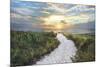 Morning Trail-Celebrate Life Gallery-Mounted Giclee Print