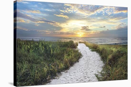 Morning Trail-Celebrate Life Gallery-Stretched Canvas