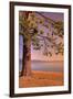 Morning Tree, South Lake Tahoe-Vincent James-Framed Photographic Print