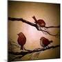 Morning Tweet-Cherie Roe Dirksen-Mounted Giclee Print