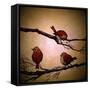 Morning Tweet-Cherie Roe Dirksen-Framed Stretched Canvas