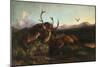 Morning (Two Dead Stags and a Fox), 1853 (Oil on Canvas)-Edwin Landseer-Mounted Giclee Print