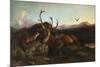 Morning (Two Dead Stags and a Fox), 1853 (Oil on Canvas)-Edwin Landseer-Mounted Giclee Print