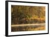 Morning View of American River Shoreline and Reflection of Fall Colors from a Kayak, California-Adam Jones-Framed Photographic Print
