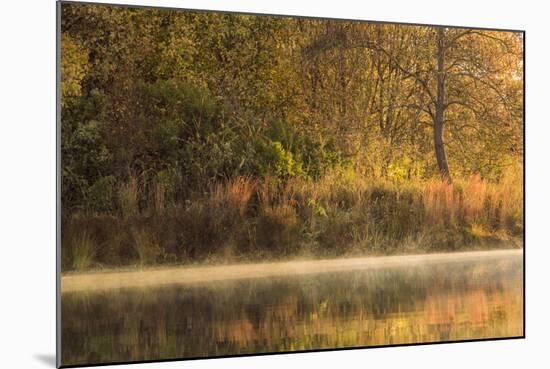 Morning View of American River Shoreline and Reflection of Fall Colors from a Kayak, California-Adam Jones-Mounted Photographic Print