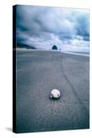 Morning Walk at Cannon Beach, Oregon Coast-Vincent James-Stretched Canvas