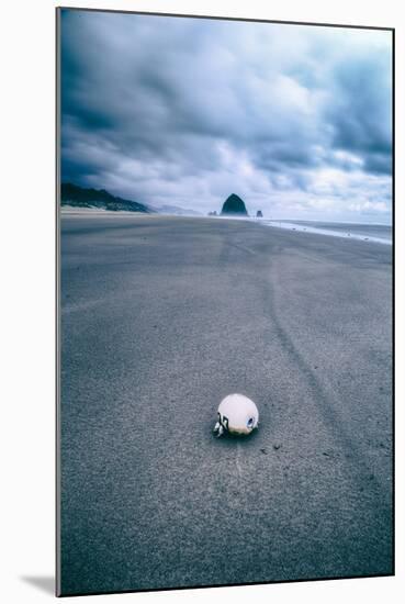 Morning Walk at Cannon Beach, Oregon Coast-Vincent James-Mounted Photographic Print