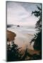 Morning Walk at Cannon Beach, Peaceful Oregon Coast-Vincent James-Mounted Premium Photographic Print