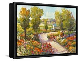 Morning Walk I-Tim O'toole-Framed Stretched Canvas