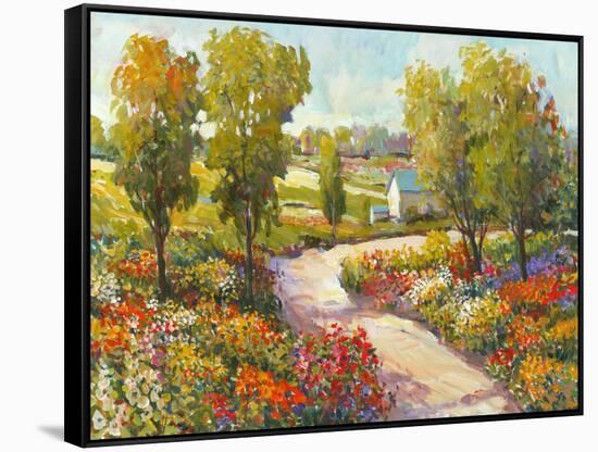 Morning Walk I-Tim O'toole-Framed Stretched Canvas