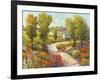 Morning Walk I-Tim O'toole-Framed Art Print