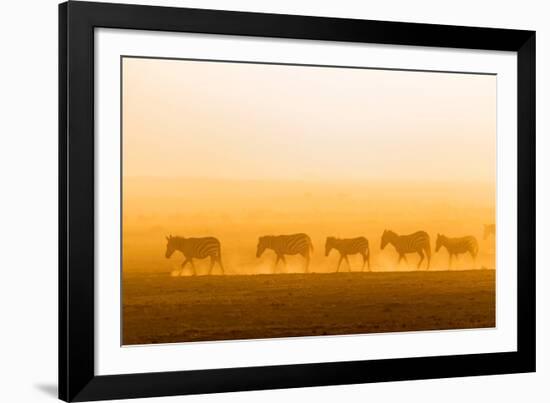 Morning walk-Hao Jiang-Framed Photographic Print