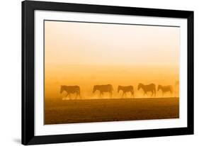 Morning walk-Hao Jiang-Framed Photographic Print