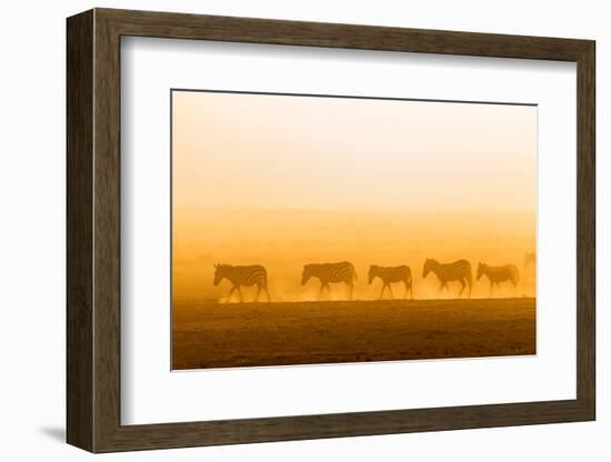 Morning walk-Hao Jiang-Framed Photographic Print