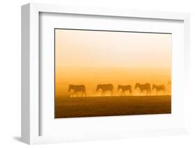 Morning walk-Hao Jiang-Framed Photographic Print