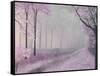 Morning Walk-Herb Dickinson-Framed Stretched Canvas