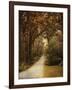 Morning Walk-Jai Johnson-Framed Giclee Print