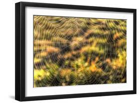 Morning Web-Robert Goldwitz-Framed Photographic Print