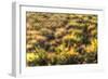 Morning Web-Robert Goldwitz-Framed Photographic Print